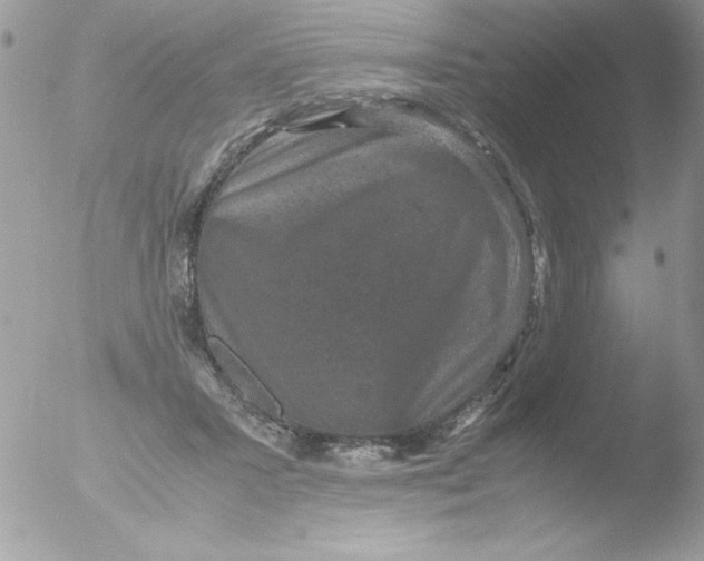 X0000051880407200507151918