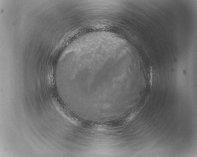 X0000051880408200507151918