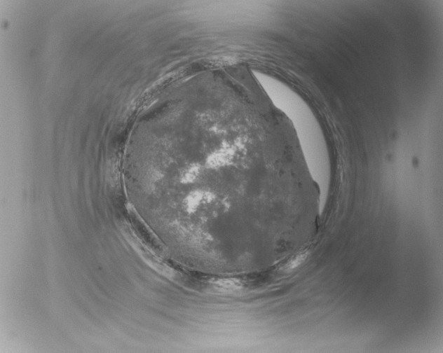 X0000051880409200507151918