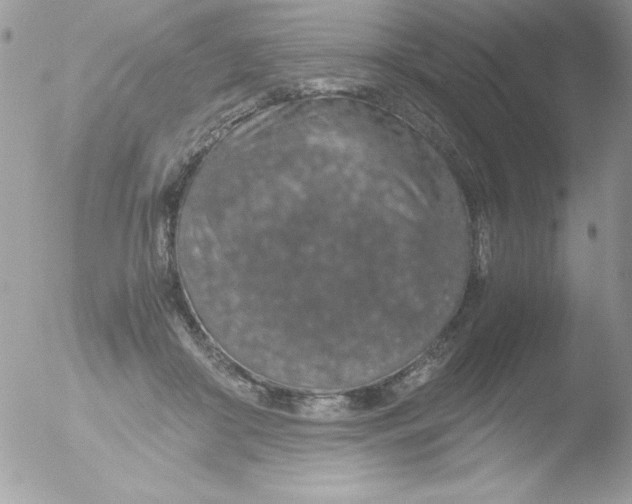 X0000051880410200507151917