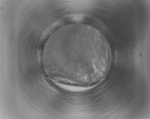 X0000051880412200507151917