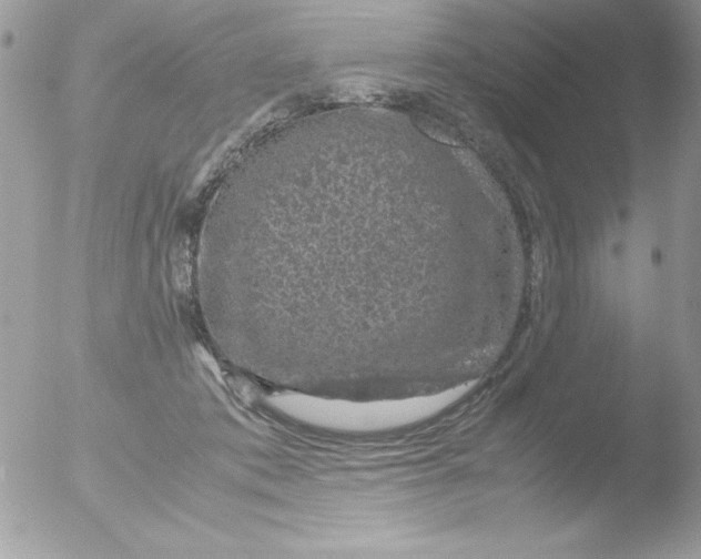 X0000051880413200507151917