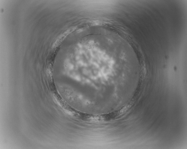 X0000051880415200507151917