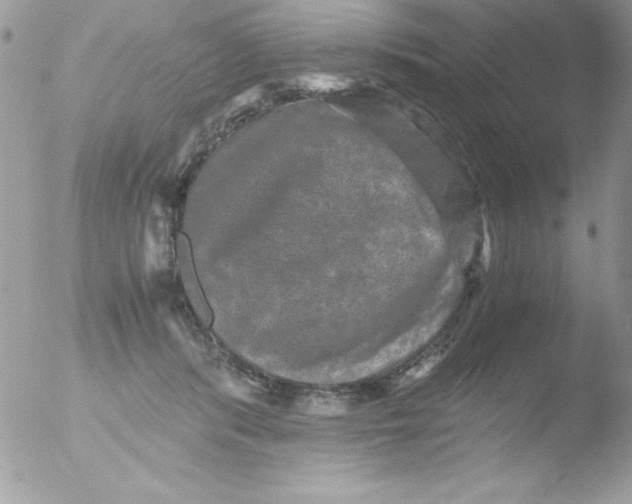 X0000051880416200507151917