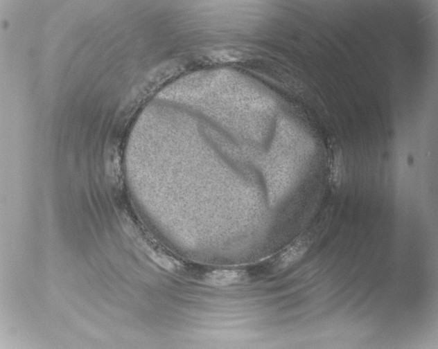 X0000051880418200507151917