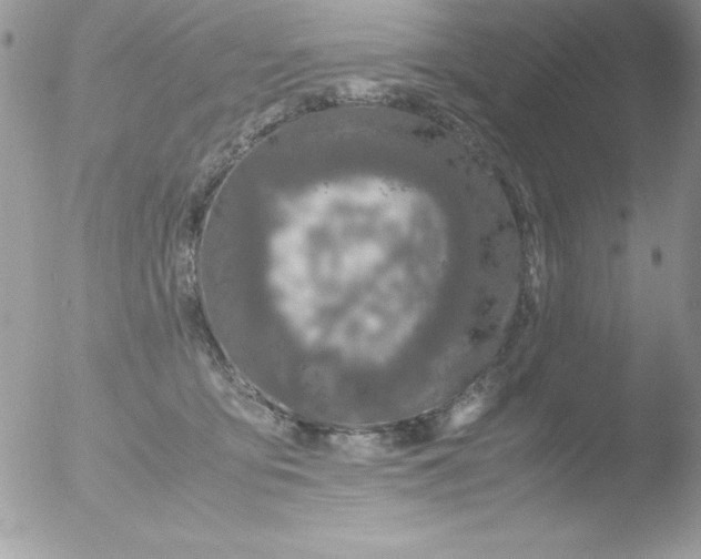 X0000051880419200507151917