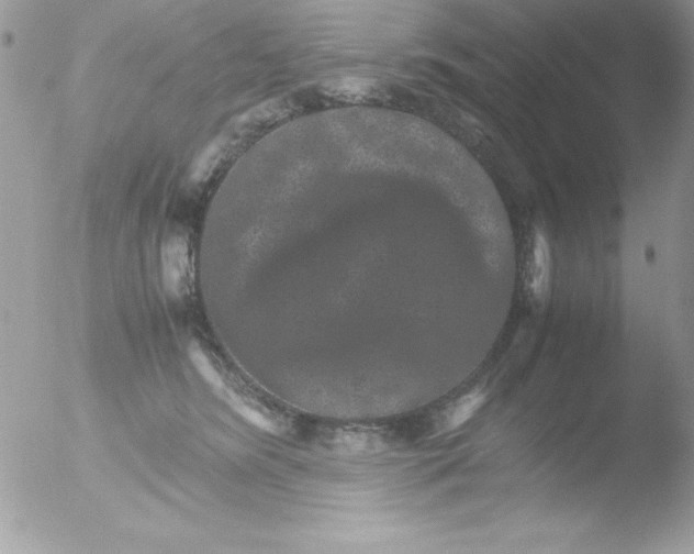 X0000051880420200507151917