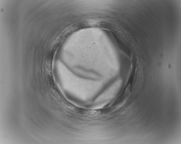 X0000051880421200507151917