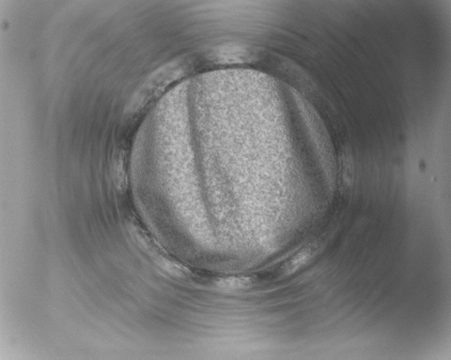 X0000051880422200507151917