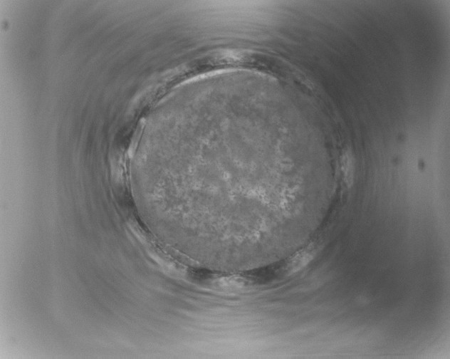 X0000051880423200507151917