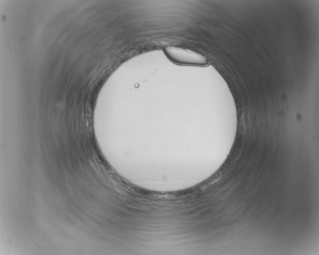 X0000051880424200507151917