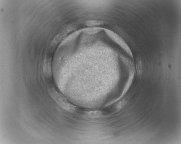 X0000051880426200507151917