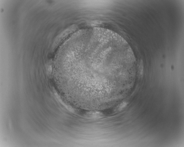 X0000051880427200507151917