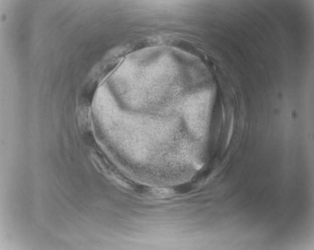 X0000051880429200507151917