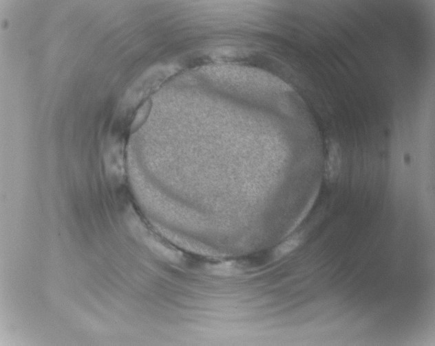 X0000051880430200507151917