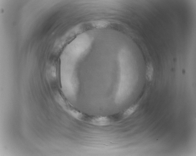 X0000051880431200507151917