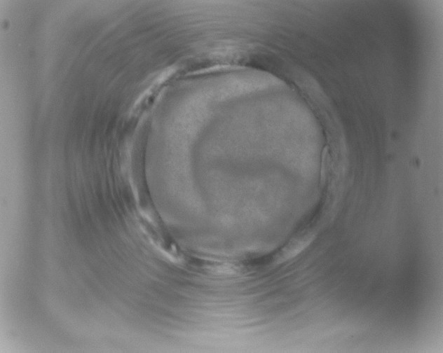 X0000051880432200507151917