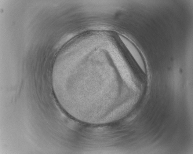 X0000051880433200507151916