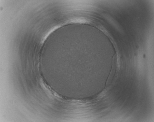 X0000051880434200507151916