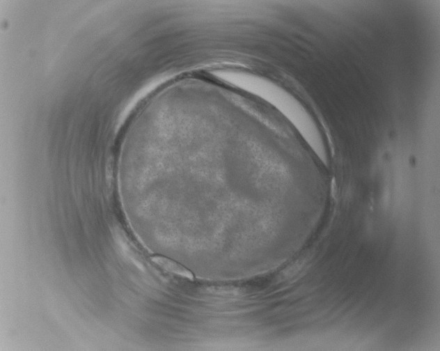 X0000051880435200507151916