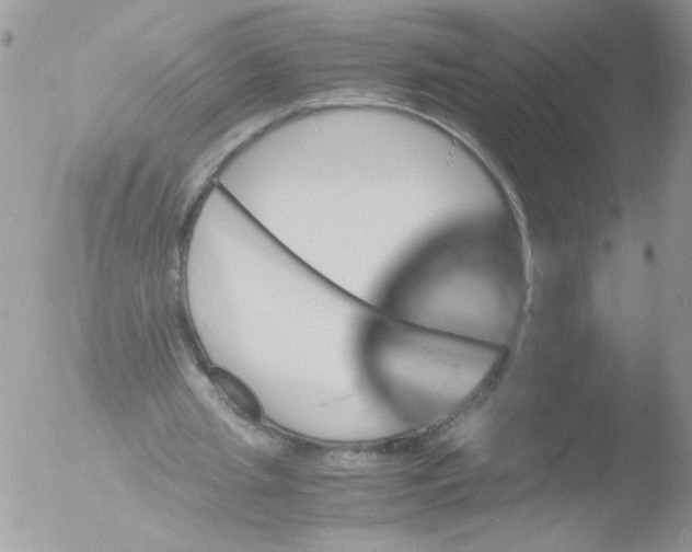 X0000051880437200507151916