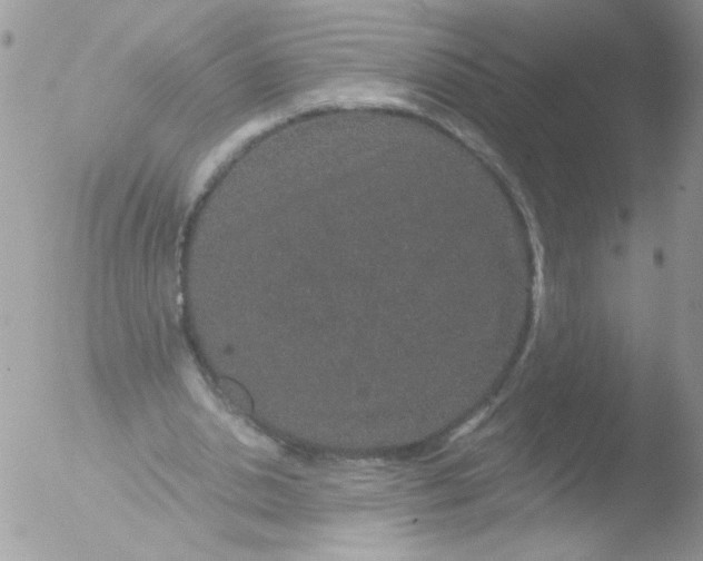 X0000051880438200507151916