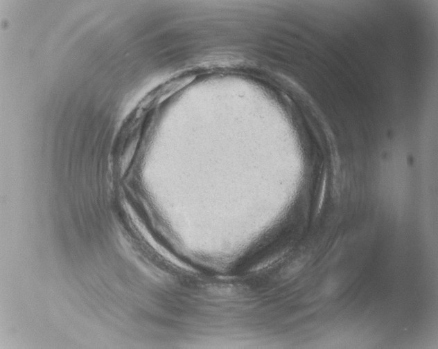 X0000051880439200507151916