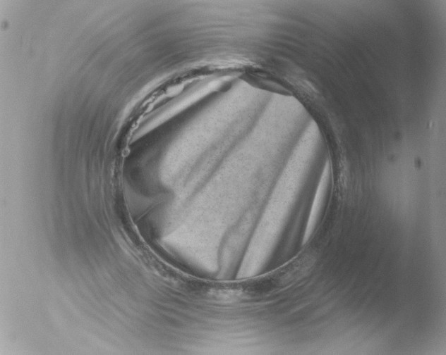 X0000051880440200507151916