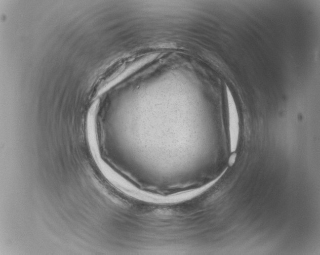 X0000051880441200507151916