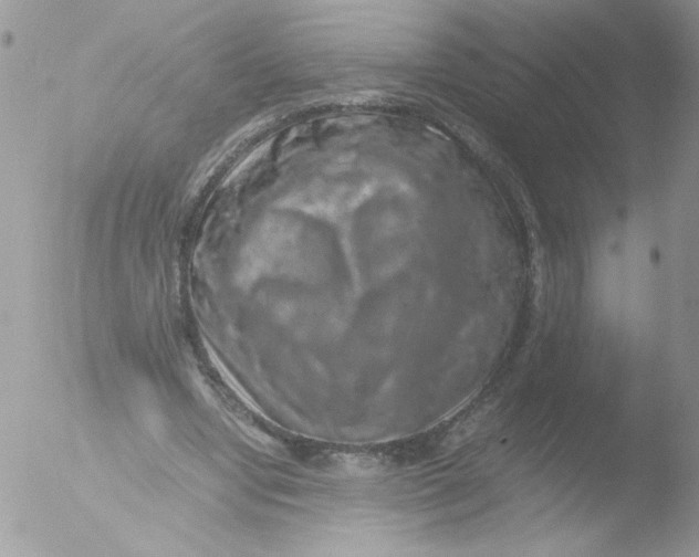 X0000051880442200507151916