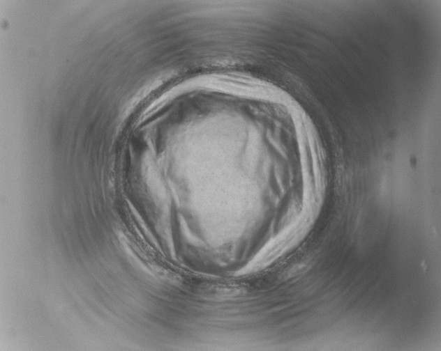 X0000051880443200507151916