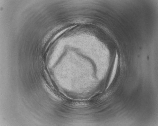 X0000051880445200507151917