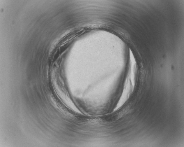 X0000051880446200507151917