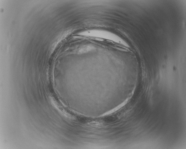 X0000051880447200507151917