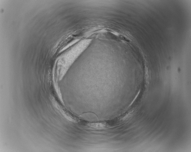 X0000051880449200507151917