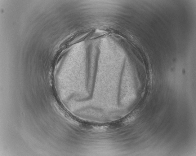 X0000051880450200507151917