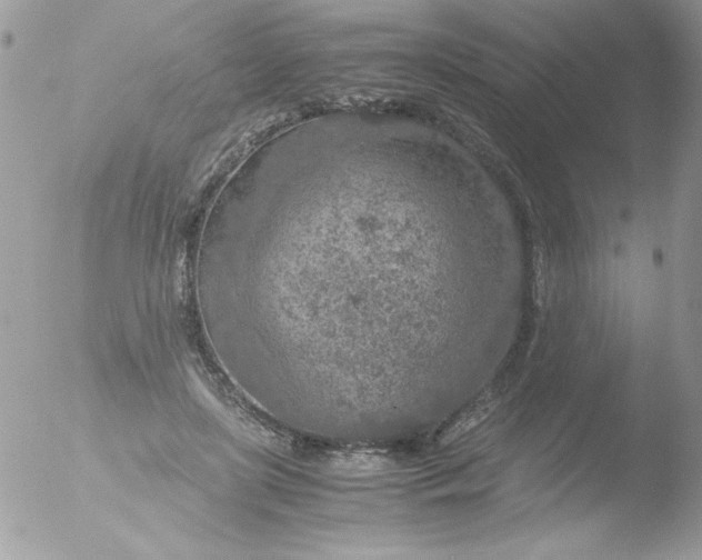 X0000051880451200507151917