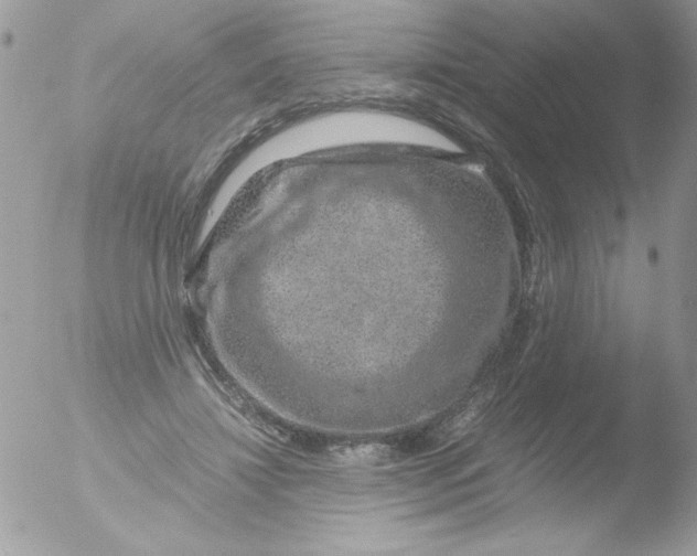 X0000051880452200507151917