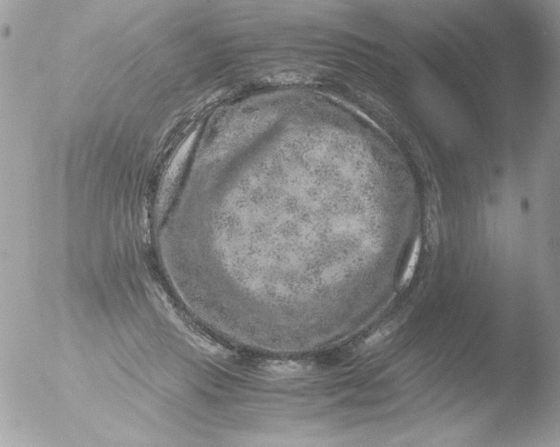 X0000051880453200507151917