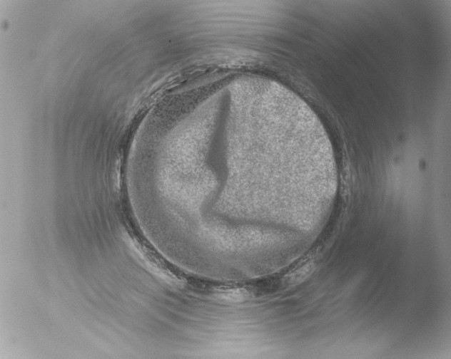 X0000051880454200507151917