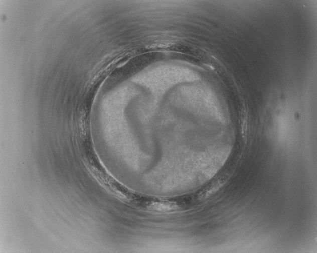 X0000051880455200507151917