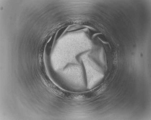 X0000051880456200507151917