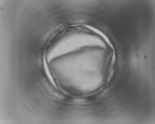 X0000051880457200507151917