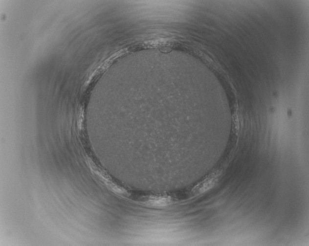 X0000051880458200507151917