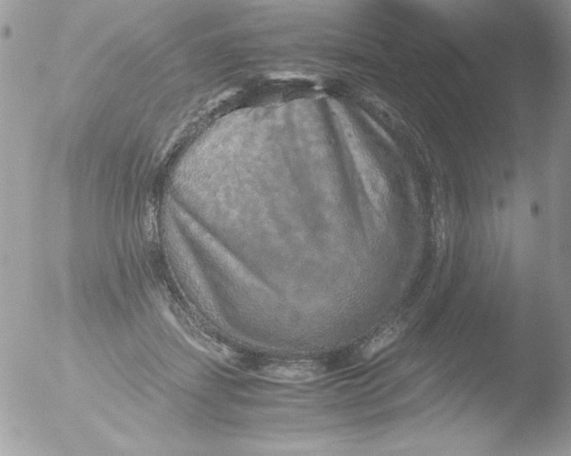 X0000051880459200507151917