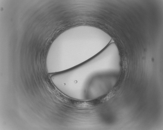 X0000051880460200507151917