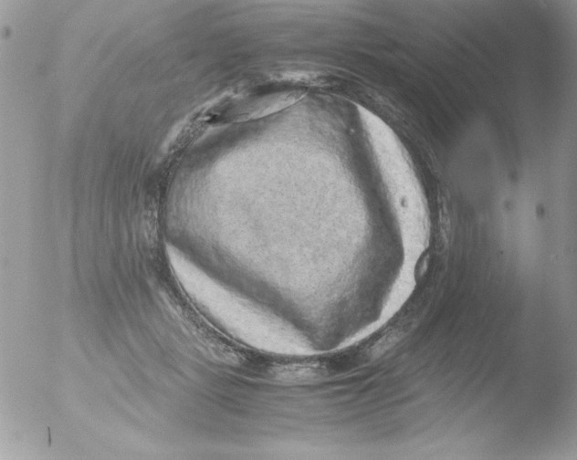 X0000051880461200507151917