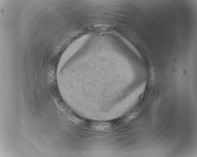 X0000051880463200507151917