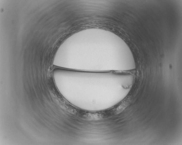 X0000051880464200507151917