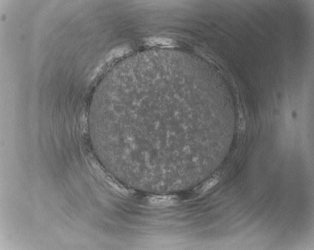 X0000051880465200507151917